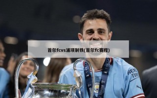 首尔fcvs浦项制铁(首尔fc赛程)
