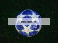 德国队(德国队门将)