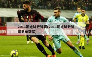 2011羽毛球世锦赛(2011羽毛球世锦赛男单冠军)