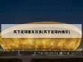 天下足球里瓦尔多(天下足球内维尔)