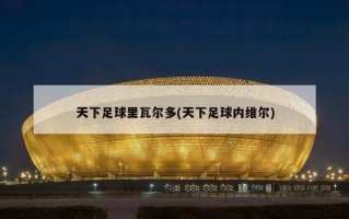 天下足球里瓦尔多(天下足球内维尔)