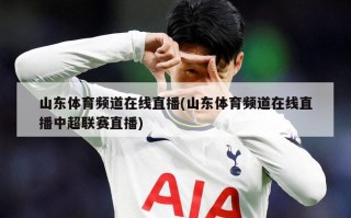 山东体育频道在线直播(山东体育频道在线直播中超联赛直播)