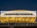 守望先锋世界杯赛程(守望先锋世界比赛)