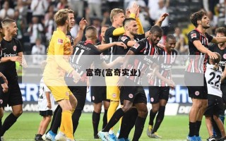 富奇(富奇实业)