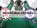 卡塔尔世界杯4强出炉(卡塔尔世界杯2022)