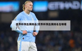 世界杯预选赛排名(世界杯预选赛排名在哪看)