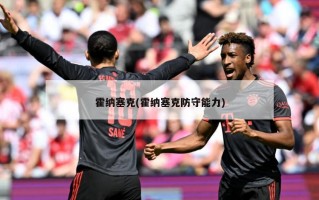 霍纳塞克(霍纳塞克防守能力)