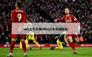 nba公牛王朝(NBA公牛王朝凯菲)