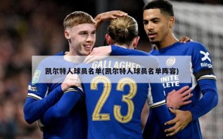 凯尔特人球员名单(凯尔特人球员名单阵容)