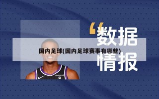 国内足球(国内足球赛事有哪些)