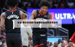 鲁迪-费尔南德斯(鲁迪费尔南德斯宣布退役)
