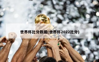 世界杯比分数据(世界杯2022比分)