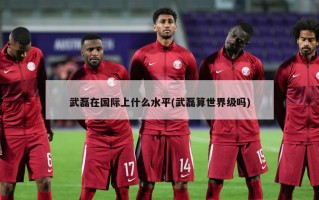 武磊在国际上什么水平(武磊算世界级吗)