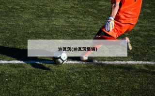 迪瓦茨(迪瓦茨集锦)
