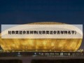 伦敦奥运会吉祥物(伦敦奥运会吉祥物名字)