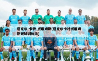 迈克尔-卡特-威廉姆斯(迈克尔卡特威廉姆斯双球训练法)