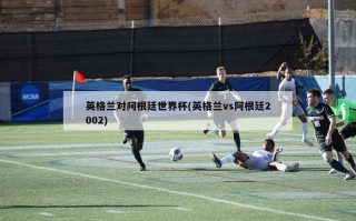 英格兰对阿根廷世界杯(英格兰vs阿根廷2002)