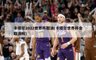 卡塔尔2022世界杯取消(卡塔尔世界杯会取消吗)