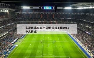 实况足球2011中文版(实况足球2011中文解说)