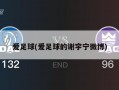爱足球(爱足球的谢宇宁微博)
