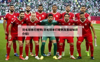 羽毛球单打规则(羽毛球单打规则及基础知识介绍)