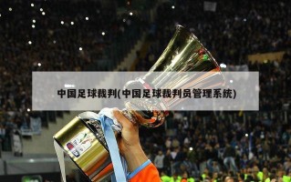 中国足球裁判(中国足球裁判员管理系统)