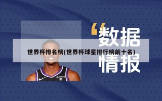 世界杯排名榜(世界杯球星排行榜前十名)