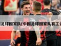 中国足球国家队(中国足球国家队有工资吗)
