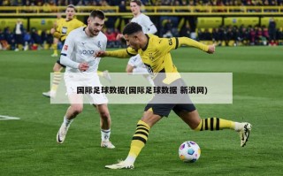国际足球数据(国际足球数据 新浪网)