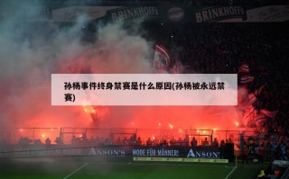 孙杨事件终身禁赛是什么原因(孙杨被永远禁赛)