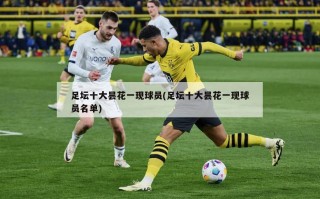 足坛十大昙花一现球员(足坛十大昙花一现球员名单)