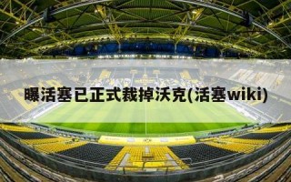 曝活塞已正式裁掉沃克(活塞wiki)
