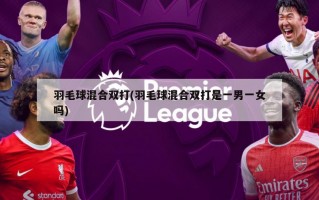 羽毛球混合双打(羽毛球混合双打是一男一女吗)