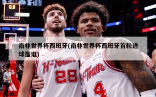 南非世界杯西班牙(南非世界杯西班牙首粒进球是谁)