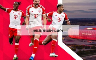 祝铭震(祝铭震个人简介)