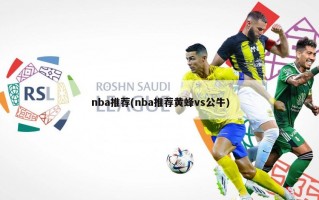 nba推荐(nba推荐黄蜂vs公牛)