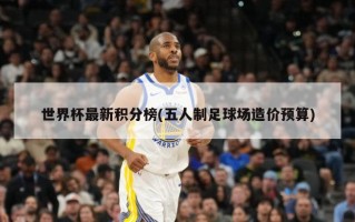 世界杯最新积分榜(五人制足球场造价预算)