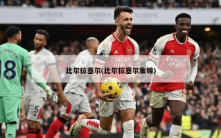 比尔拉塞尔(比尔拉塞尔集锦)