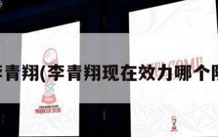 李青翔(李青翔现在效力哪个队)
