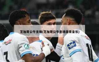芝加哥公牛主场(芝加哥公牛主场背景音乐)