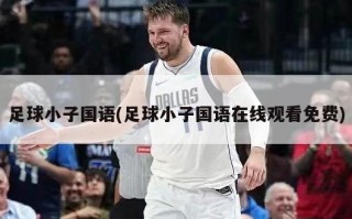 足球小子国语(足球小子国语***免费)