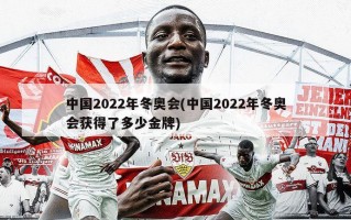 中国2022年冬奥会(中国2022年冬奥会获得了多少金牌)