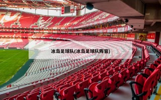 冰岛足球队(冰岛足球队阵容)