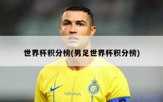 世界杯积分榜(男足世界杯积分榜)